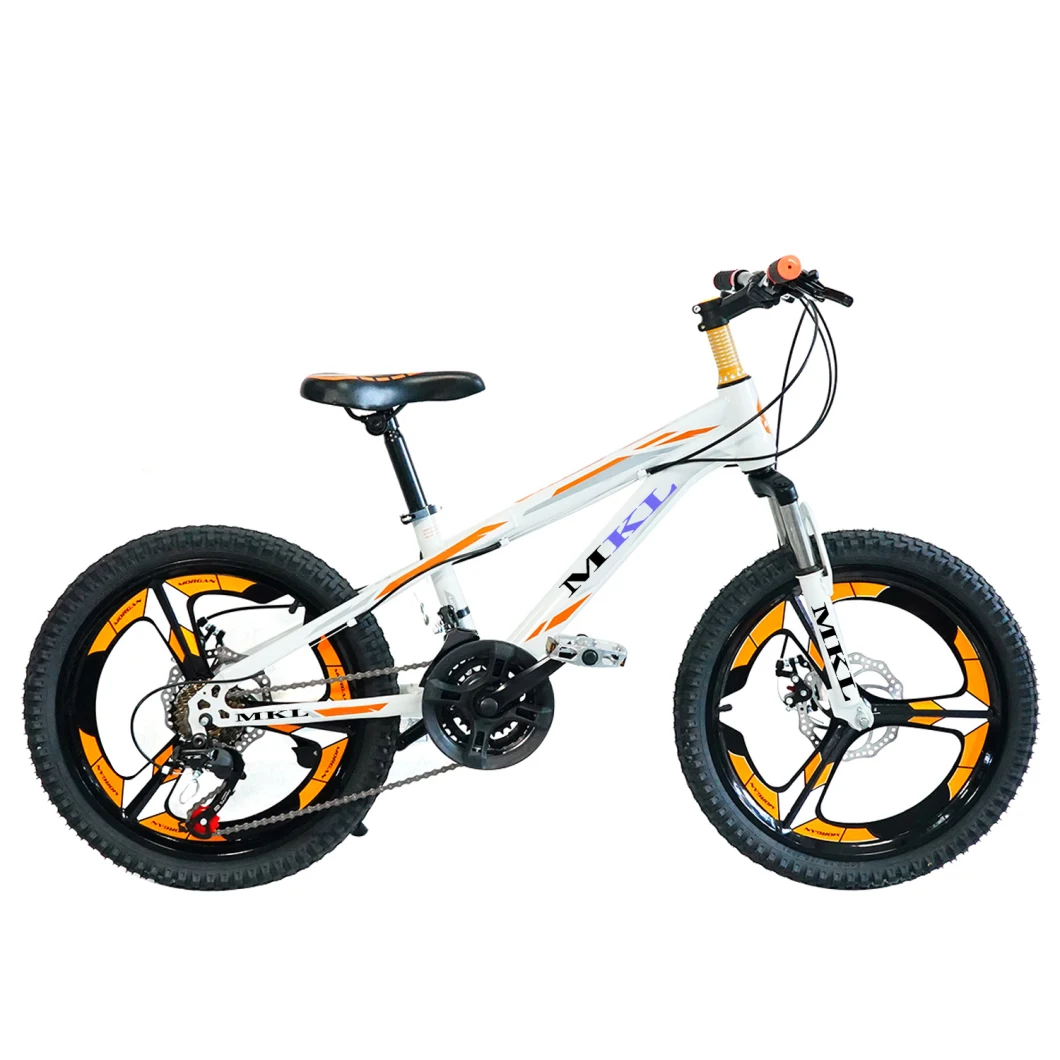 20′ ′ -26′ ′ Cheap and Competitive Price MTB Mountain Bike for Children and Adults