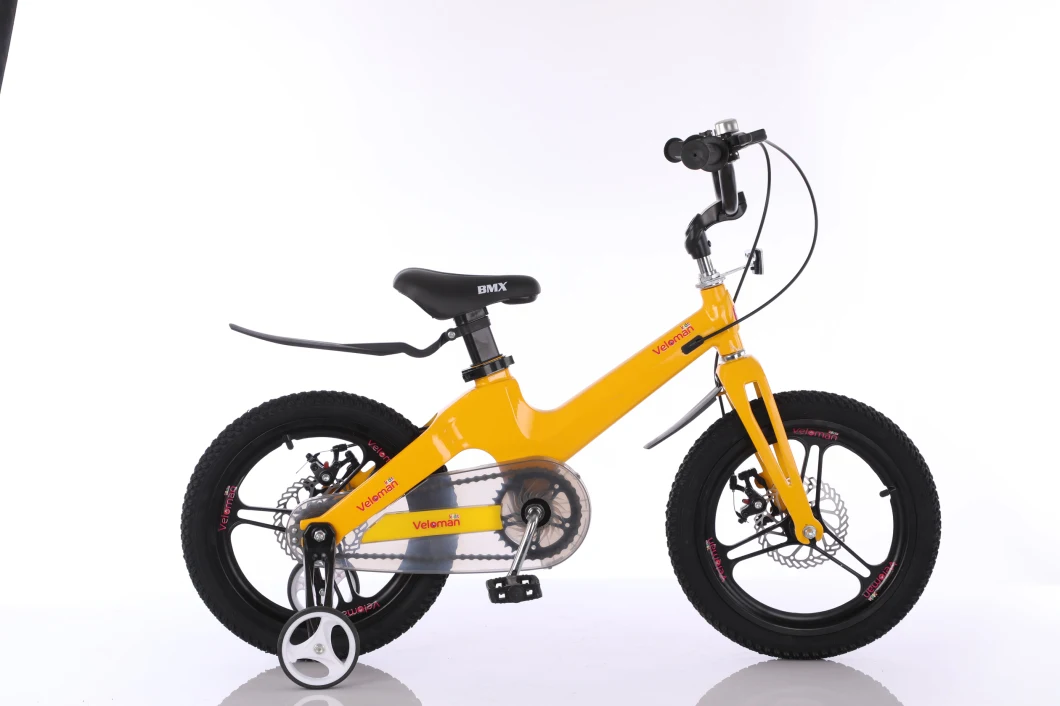 18" 20" Hot Sale Magnesium Alloy Children Bicycle /Kids Bike SL