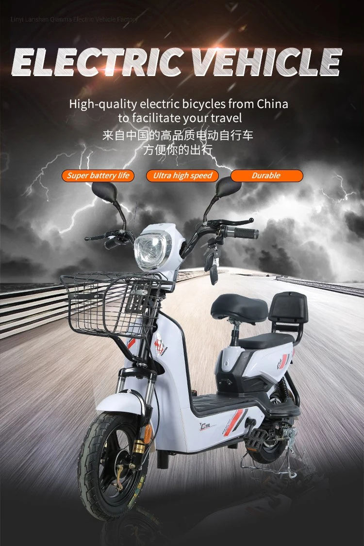 Adult Electric Bike for Sale China Factory