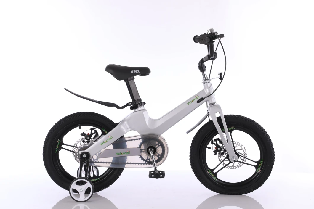 18" 20" Hot Sale Magnesium Alloy Children Bicycle /Kids Bike SL