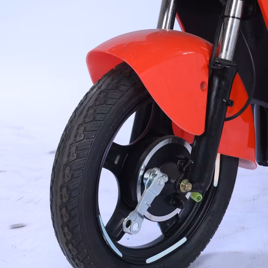 OEM China Factory 350W 29er Elektrofahrrad mit bürstenlosem Motor Biciletta