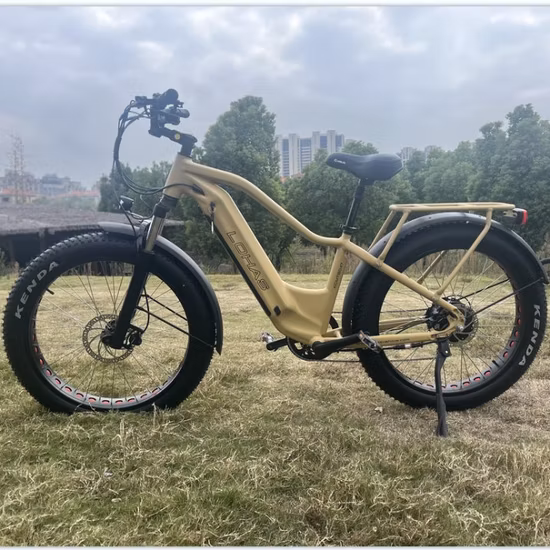 MTB Fat Tire 26*4,0 350W*2 Doppelnabenmotoren Elektrofahrrad