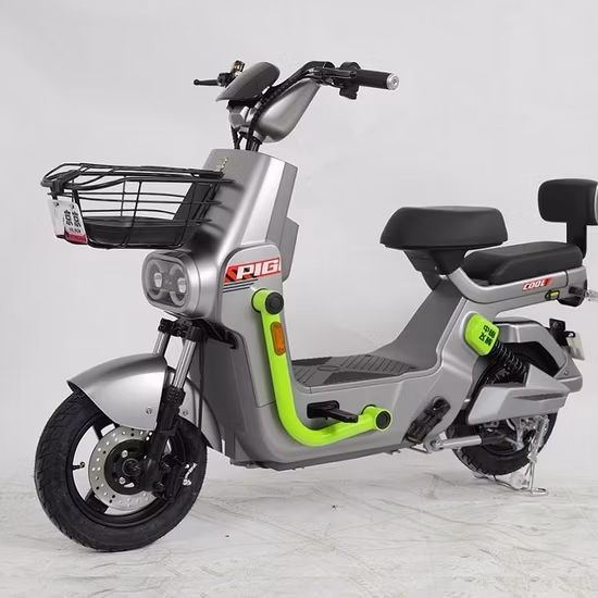 OEM 48V 13ah 7-Gang 800W Elektrofahrrad für Erwachsene
