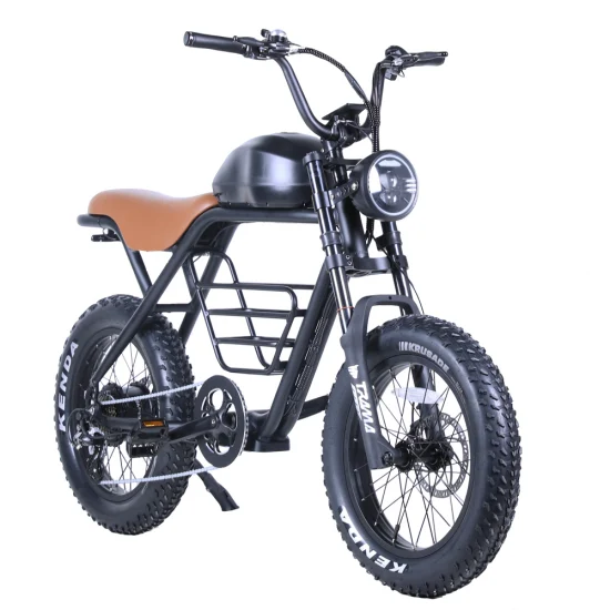 Vollständiger Verkauf 52V 750W Doppelbatterie-Fettreifen-Moped 20-Zoll-Fracht-Elektro-Rennrad