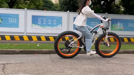 Zsnake 750-W-Elektrofahrrad für Erwachsene, 30 Meilen pro Stunde elektrisches Mountainbike mit 48-V-20-A-Lithiumbatterie, 26-Zoll-Fat-Road-Vakuumreifen und LED-Anzeige