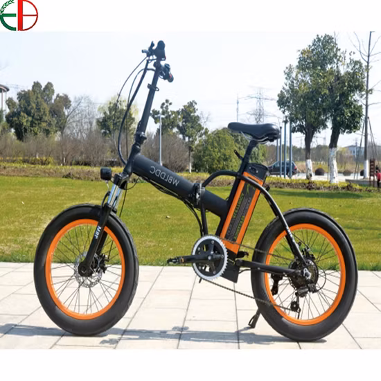 Elektrisches City-Klappfahrrad mit 36V-250W-Motor. Lager in Europa