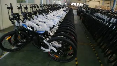 Elektromotor High Power Großhandel direkt bürstenloses Fahrrad