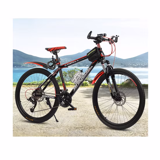OEM China Factory Allradantrieb Doppelbatterie 500 W/750 W/1000 W elektrisches Fatbike Mountain Beach E-Bike 2 versteckte Batterie E-Bike